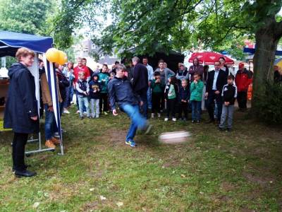 Brunnenfest 2015 - 